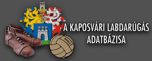 A kaposvri labdargs adatbzisa